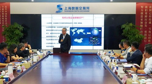 共探企業(yè)數(shù)據(jù)資產(chǎn)化戰(zhàn)略新方向 上海數(shù)交所數(shù)據(jù)咨詢服務(wù)商培訓(xùn)會(huì)解讀
